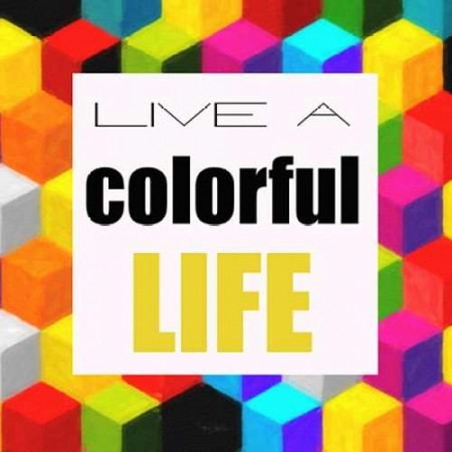 Live A Colorful Life Poster Print by Taylor Greene (12 x 12)