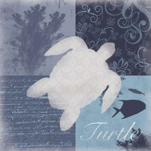 Beach Turtle Poster Print by Lauren Gibbons (12 x 12)