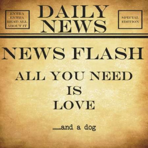 NEWS FLASH A Dog Poster Print by Taylor Greene (12 x 12)