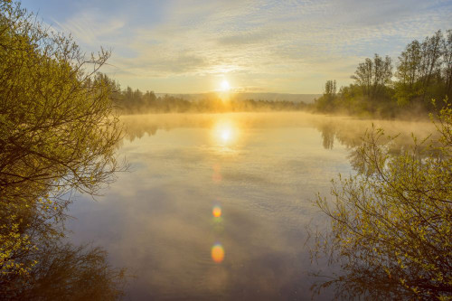 Bright sun reflected in lake with morning mist at sunrise in Mondfeld, Wertheim in Baden-Wurttemberg, Germany Poster Print by Raimund Linke (19 x 12)