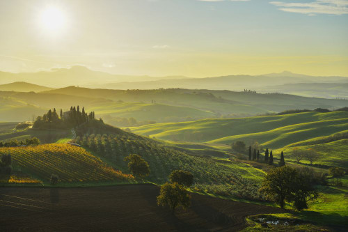 Scenic overview of the Tuscan countryside with farmhouse at sunset at San Quirico d'Orcia in the Val d'Orcia in the  Province of Siena, Italy Poster Print by Raimund Linke (19 x 12)