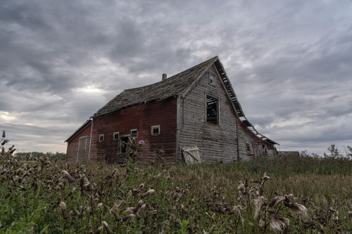 Abandoned barn in rural Saskatchewan; Prince Albert, Saskatchewan, Canada Poster Print by Robert Postma (18 x 12)