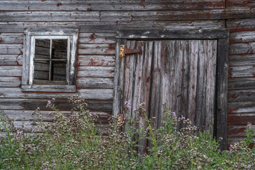 Weathered facade of an old barn with door and window; Prince Albert, Saskatchewan, Canada Poster Print by Robert Postma (18 x 12)