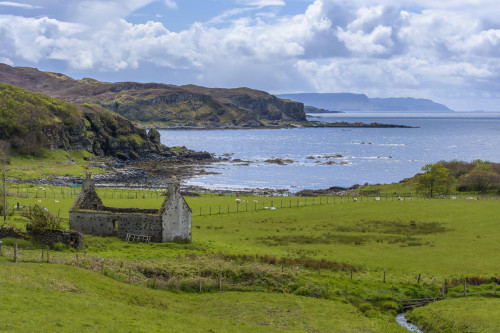 Remains of a stone house in grassy field along the coast on the Isle of Skye in Scotland, United Kingdom Poster Print by Raimund Linke (19 x 12)