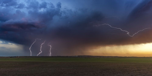 Lightning strikes from a weak airmass thunderstorm at sunset in the Texas Panhandle; Texas, United States of America Poster Print by Stuart Short (20 x 10)