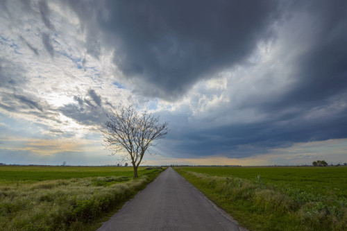 Road through Field with Storm Clouds in Tadten, Burgenland, Austria Poster Print by Raimund Linke (19 x 12)