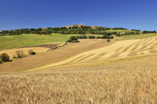 Wheat Field in Summer with a Historic Town of Pienza, Province of Siena, Tuscany, Italy Poster Print by Raimund Linke (19 x 12)