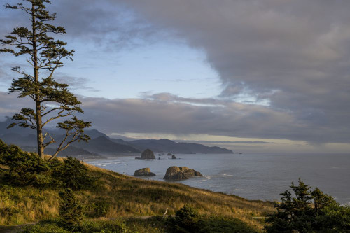 Evening light bathes Chapman Point at Ecola State Park on the Oregon Coast; Cannon Beach, Oregon, United States of America Poster Print by Robert L. Potts (17 x 11)