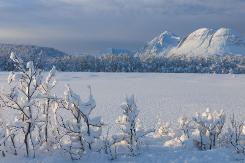 Snowy Winter Landscape with Mountains in Breivikeidet, Troms, Norway Poster Print by Raimund Linke (19 x 12)