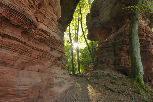 Sandstone Rock Formation with Sun, Altschlossfelsen, Eppenbrunn, Pfalzerwald, Rhineland-Palatinate, Germany Poster Print by Raimund Linke (19 x 12)