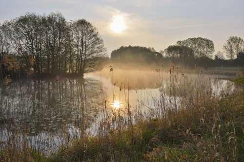 Fishing Pond at Sunrise, Gunzenau, Grebenhain, Vogelsberg District, Hesse, Germany Poster Print by Raimund Linke (19 x 12)
