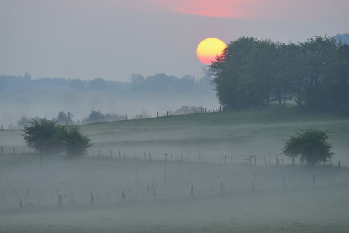 Countryside at Sunrise with Morning Mist, Ober-Moos, Grebenhain, Vogelsberg District, Hesse, Germany Poster Print by Raimund Linke (19 x 12)