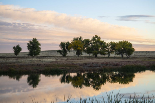 Trees reflected in a placid pond in the Rocky Mountain Arsenal Wildlife Refuge near Denver, Colorado, USA; Colorado, United States of America Poster Print by Kenneth Whitten (19 x 12)