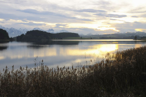 Lake at Sunrise, Illasbergsee, Halblech, Bavaria, Germany Poster Print by Raimund Linke (19 x 12)