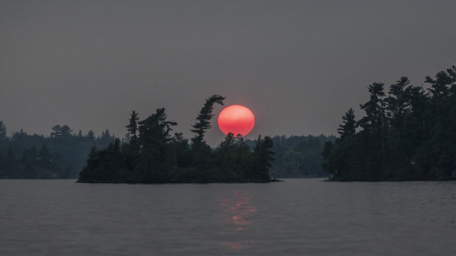 Vibrant pink sun glowing over silhouetted landscape and water at sunset; Poster Print by Keith Levit (21 x 12)