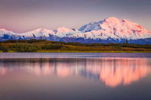 Close-up of Mount Denali (McKinley) with a rose color glow, reflecting on the Reflection Pond at sunset; Denali National Park and Reserve, Interior Alaska, Alaska, United States of America Poster Print by Sunny Awazuhara- Reed (20 x 13)