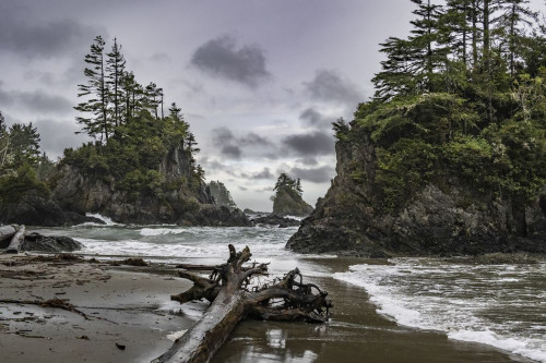 Rugged coastline of Brady's Beach in Bamfield on Vancouver Island; Bamfield, British Columbia, Canada Poster Print by Keith Levit (20 x 13)