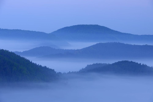 Dawn over Drachenfels, Busenberg, Pfalzerwald, Rhineland-Palatinate, Germany Poster Print by Raimund Linke (19 x 12)