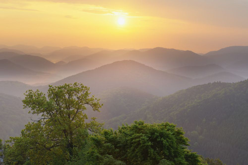 Sunrise over Mountains, Nothweiler, Pfalzerwald,  Rhineland-Palatinate, Germany Poster Print by Raimund Linke (19 x 12)