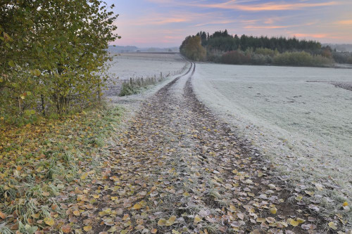 Path, Schotten, Vogelsberg District, Hesse, Germany Poster Print by Raimund Linke (19 x 12)