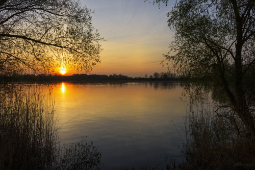 Trees and lake at Sunrise in Early Spring, Riedstadt, Hesse, Germany Poster Print by Michael Breuer (20 x 13)