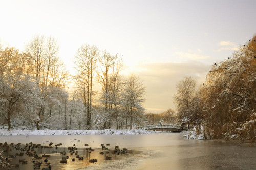 Jericho Beach in Winter, Vancouver, British Columbia, Canada Poster Print by J. A. Kraulis (17 x 11)