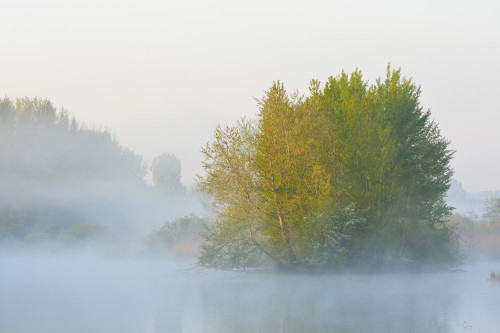 Lake in Early Morning Mist in Springtime, Hesse, Germany Poster Print by Michael Breuer (17 x 11)