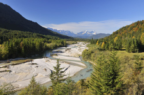 Isar River in Autumn, Karwendel Range, Wallgau, Bavaria, Germany Poster Print by Raimund Linke (19 x 12)