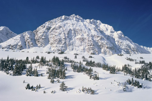 Jasper National Park in Winter Alberta, Canada Poster Print by J. A. Kraulis (17 x 11)