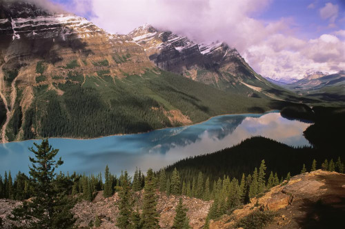 Peyto Lake Banff National Park Alberta, Canada Poster Print by J. A. Kraulis (17 x 11)