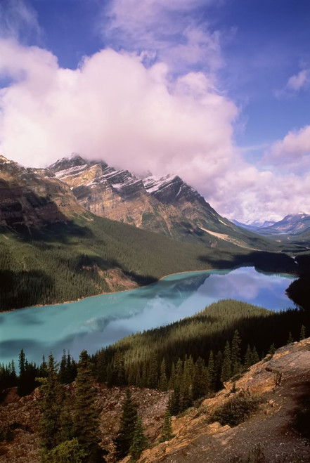 Peyto Lake Banff National Park Alberta, Canada Poster Print by J. A. Kraulis (11 x 17)