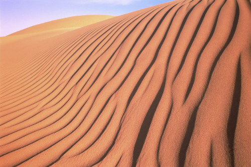 Mesquite Sand Dunes Death Valley National Park California, USA Poster Print by J. A. Kraulis (17 x 11)