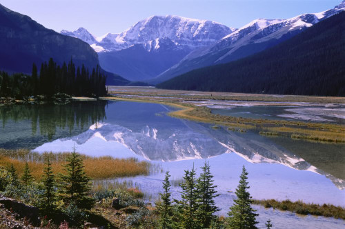 Mount Kitchener and Sunwapta River, Jasper National Park Alberta, Canada Poster Print by J. A. Kraulis (17 x 11)