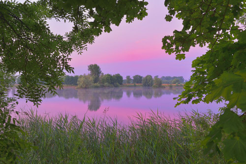 Lake, Hesse, Germany Poster Print by Michael Breuer (20 x 13)