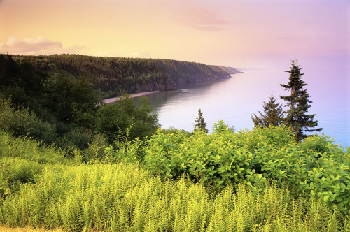 Fundy Trail Bay of Fundy New Brunswick, Canada Poster Print by J. A. Kraulis (17 x 11)
