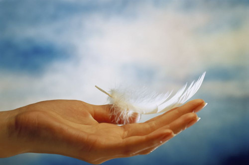 Feather in Hand Poster Print by J. A. Kraulis (17 x 11)