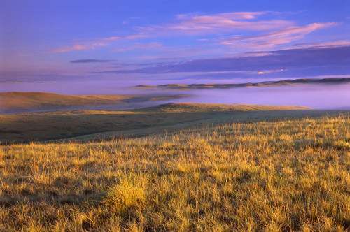 Grassland, Grasslands National Park, Saskatchewan, Canada Poster Print by J. A. Kraulis (17 x 11)