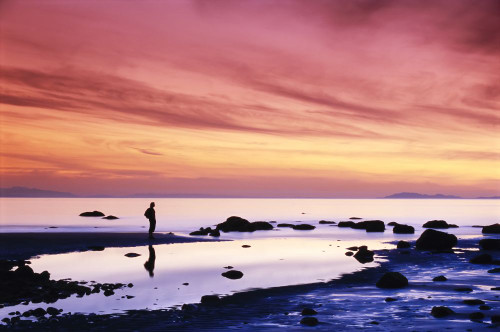 Person on Beach at Dusk Poster Print by J. A. Kraulis (17 x 11)