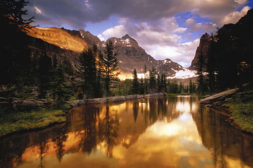 Opabin Plateau at Sunset Yoho National Park British Columbia, Canada Poster Print by J. A. Kraulis (17 x 11)