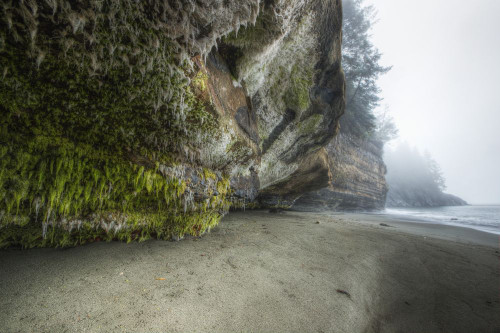 Mystic Beach Along The Juan De Fuca Marine Trail; Vancouver Island British Columbia Canada Poster Print by Robert Postma (19 x 12)