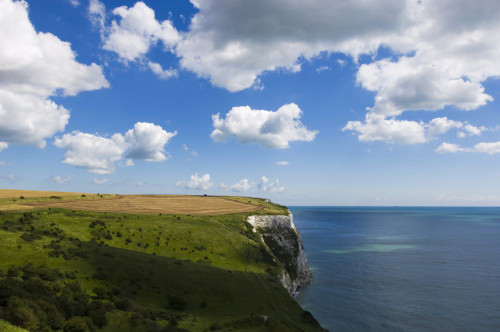 Overview of Cliffs, Dover, Kent, England Poster Print by Ben Seelt (17 x 11)