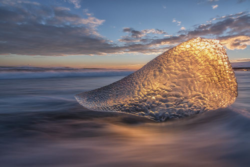 Sunset Light Is Shining Through A Piece Of Ice Along The South Coast Of Iceland; Iceland Poster Print by Robert Postma (19 x 12)