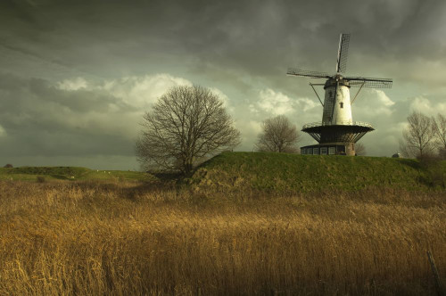 Windmill on Town Wall, Veere, Zeeland, Netherlands Poster Print by Ben Seelt (17 x 11)