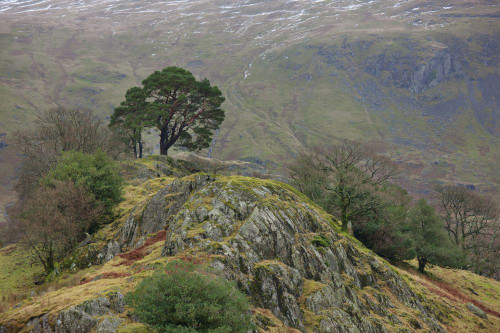 Landscape With Traces Of Snow On The Mountain; Cumbria England Poster Print by John Short (19 x 12)