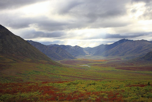 Fall Colours Along The Dempster Highway, Yukon Poster Print by Robert Postma (17 x 11)