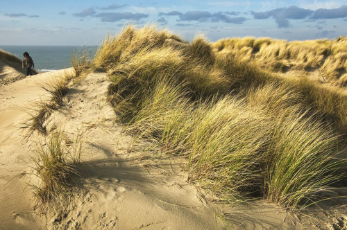 Woman Walking on Dunes, Haamstede, Zeeland, Netherlands Poster Print by Ben Seelt (17 x 11)
