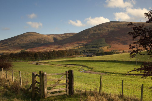 Northumberland, England; A Fence Along A Field And Hills Poster Print by John Short (19 x 12)