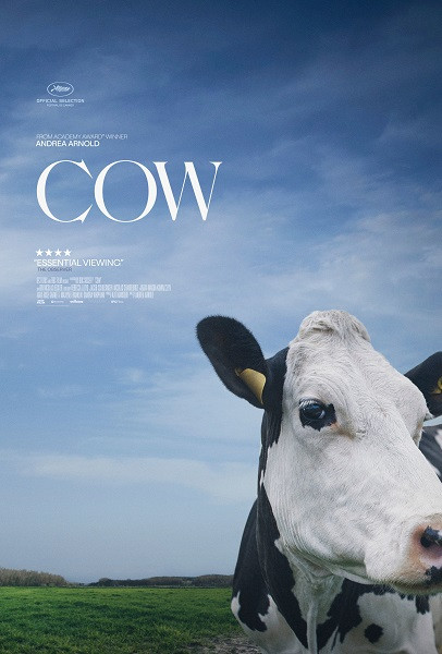Cow Movie Poster Print (27 x 40) - Item # MOVIB09265
