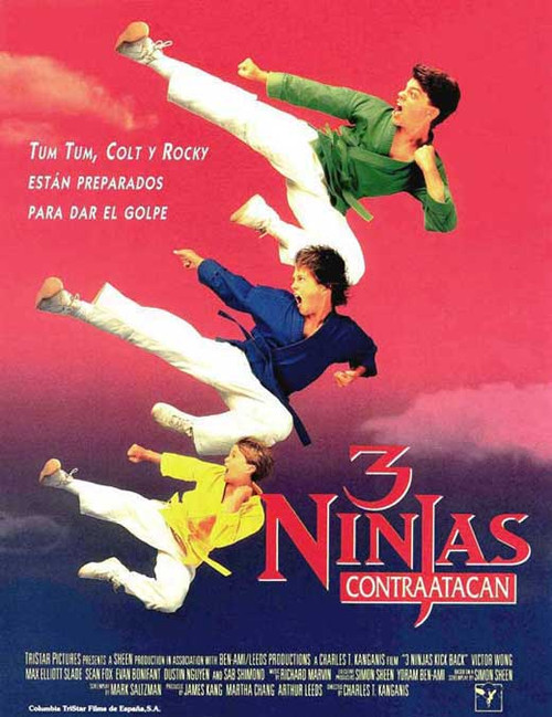 3 Ninjas Kick Back Movie Poster Print (11 x 17) - Item # MOVGJ5423
