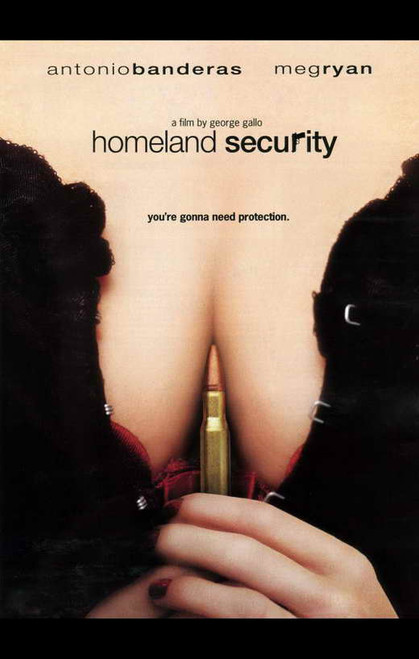 Homeland Security Movie Poster Print (11 x 17) - Item # MOVCH3595